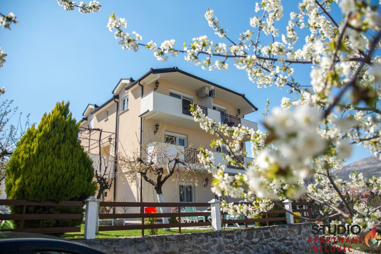 Studio Apartmani Milovic เทรบินเย ภายนอก รูปภาพ